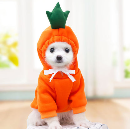 Cute Fruit Dog Clothes