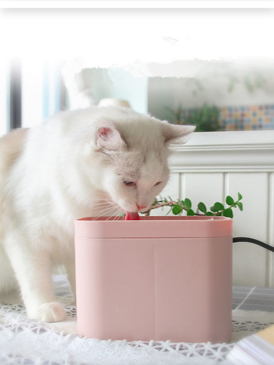 Cat Water Fountain